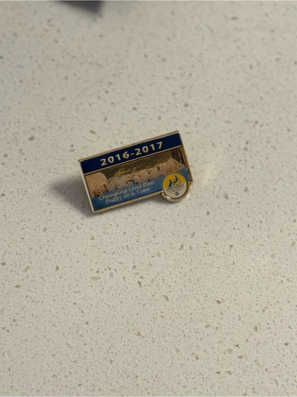 Lions Project Guide Dog Puppy Pin 2016-2017 Collectible Service Dog Charity Pin